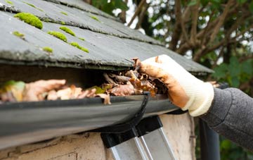 gutter cleaning Whitson, Newport