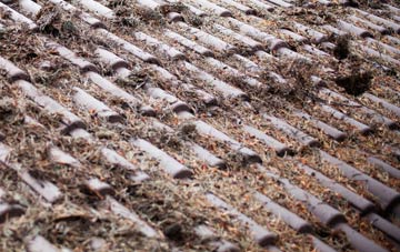 Whitson roof cleaning companies